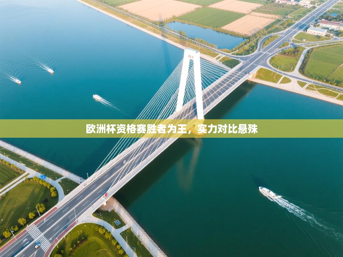 欧洲杯资格赛胜者为王,实力对比悬殊 第1张