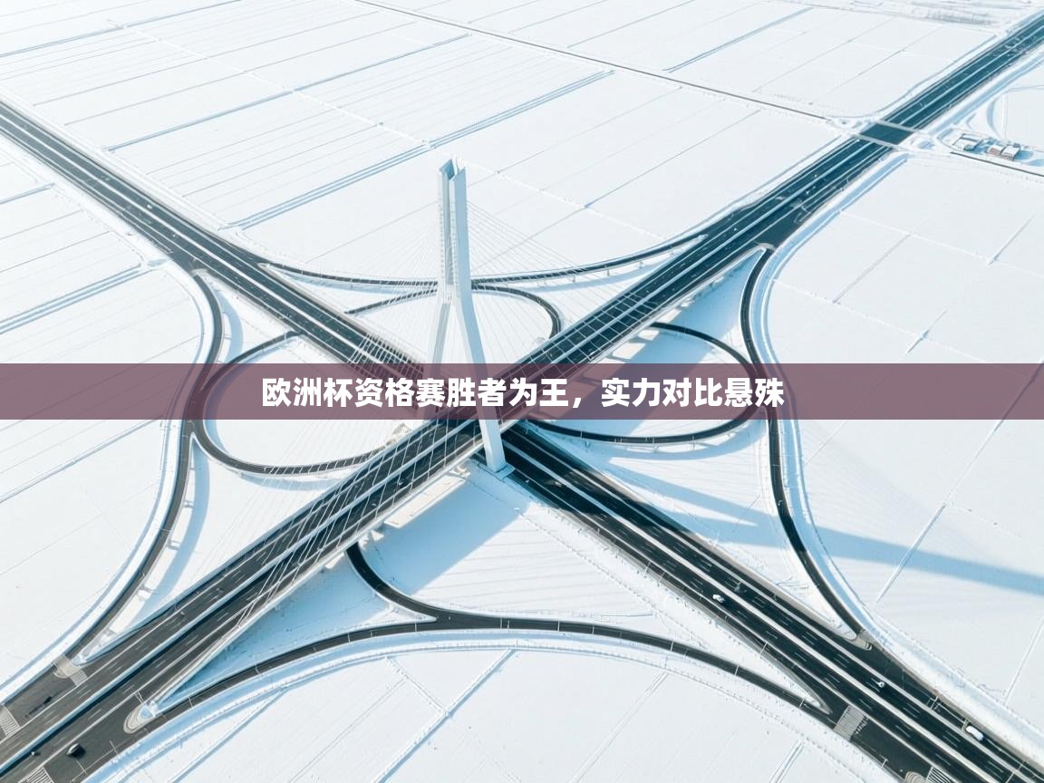 欧洲杯资格赛胜者为王,实力对比悬殊 第2张