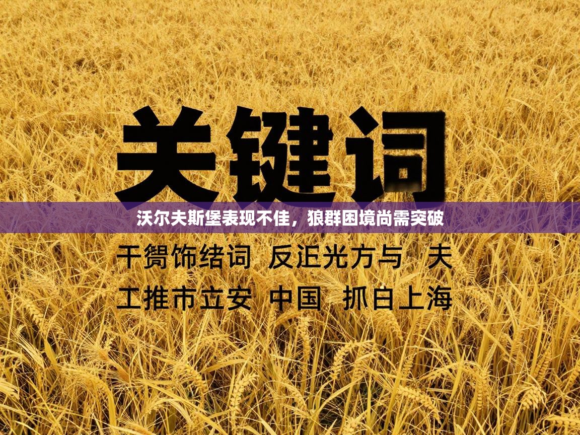 沃尔夫斯堡表现不佳，狼群困境尚需突破