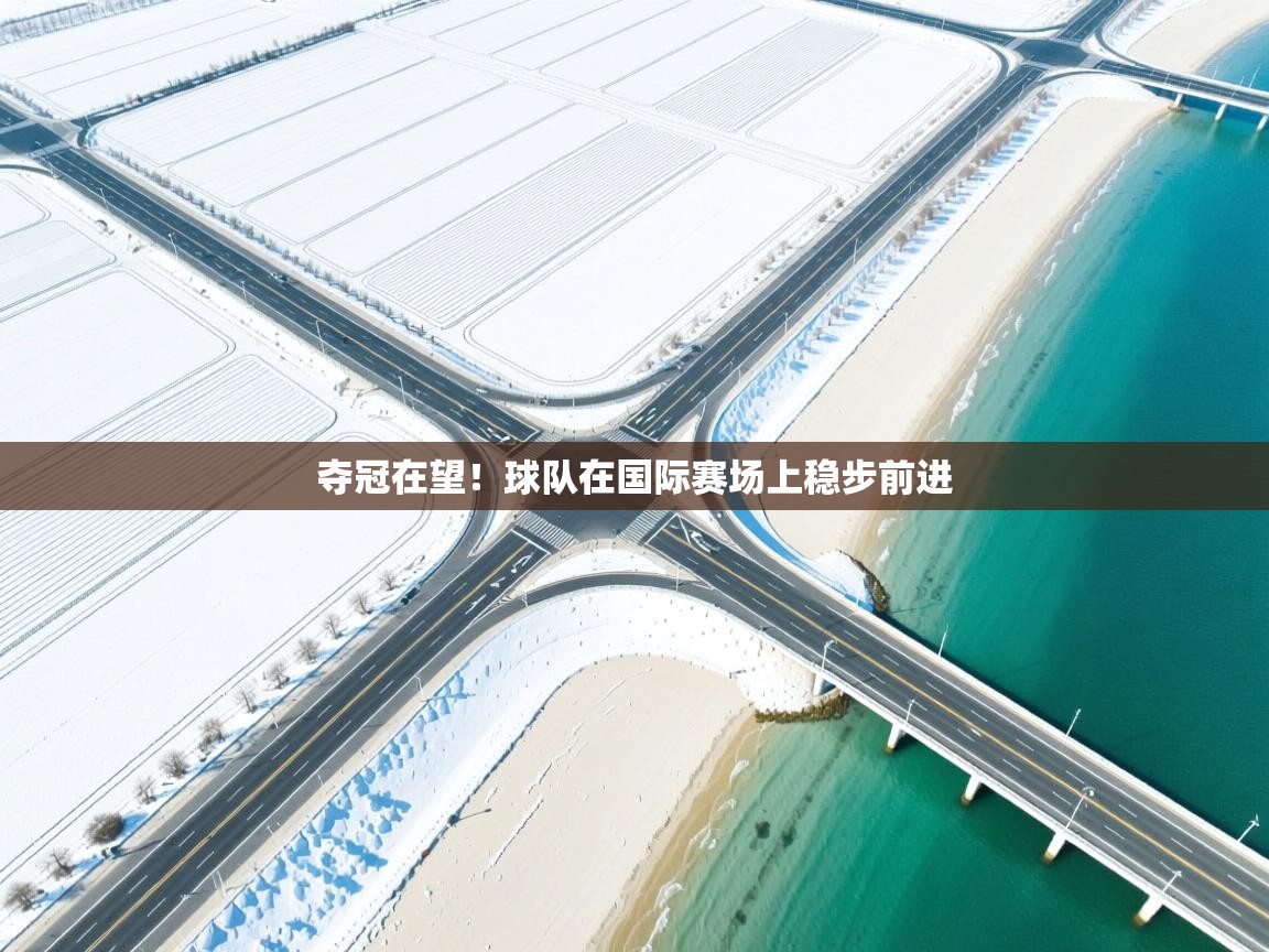 夺冠在望！球队在国际赛场上稳步前进  第1张