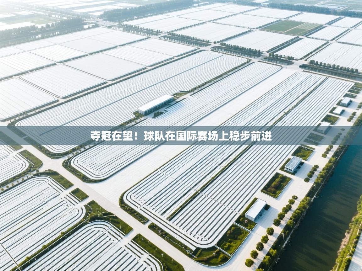 夺冠在望！球队在国际赛场上稳步前进  第2张