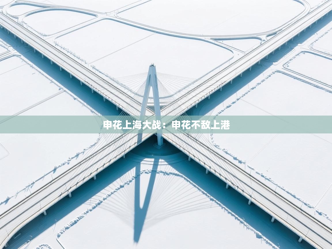 申花上海大战：申花不敌上港