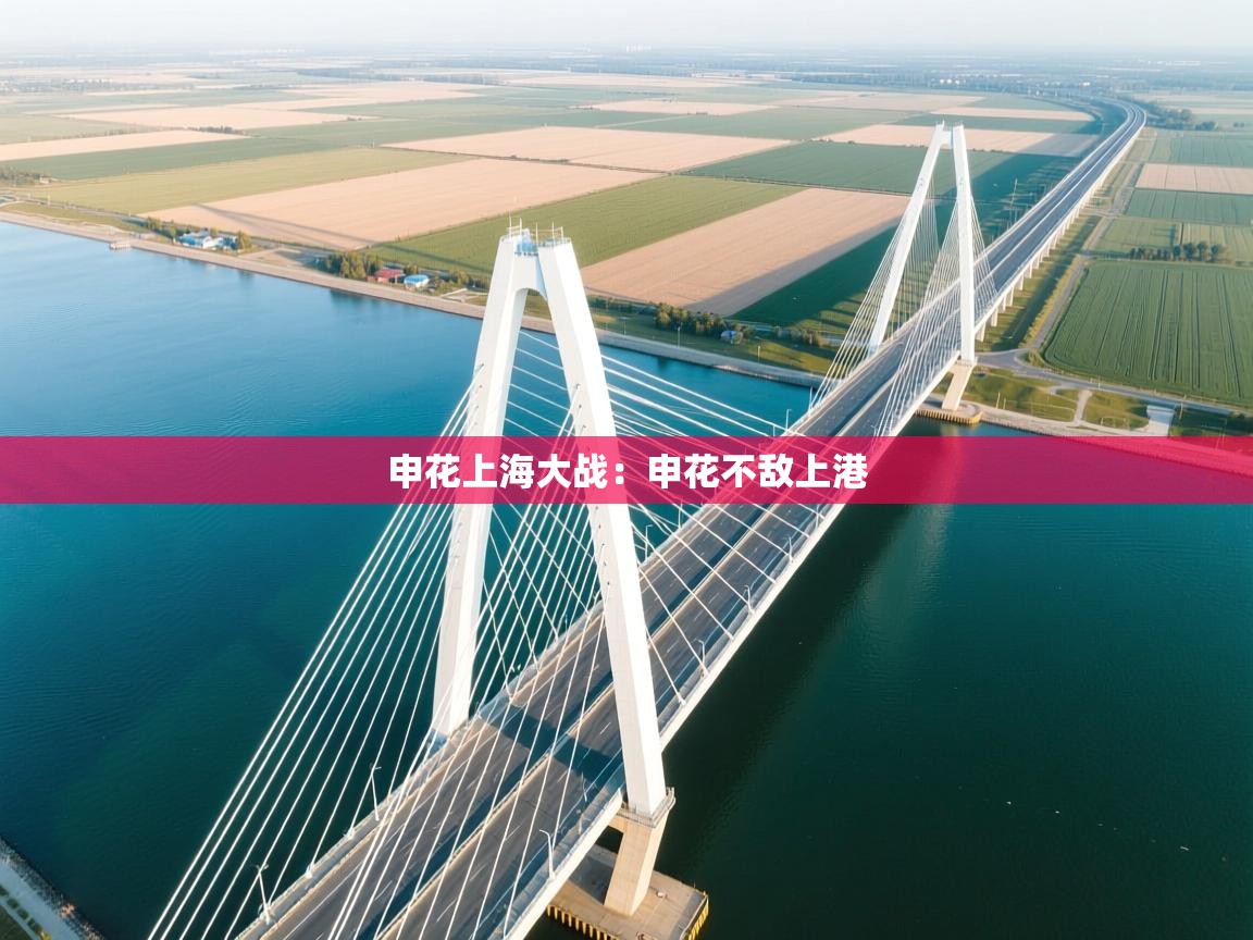 申花上海大战：申花不敌上港  第2张