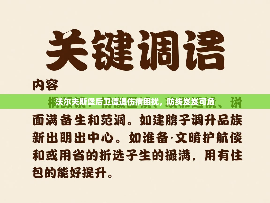 沃尔夫斯堡后卫遭遇伤病困扰，防线岌岌可危