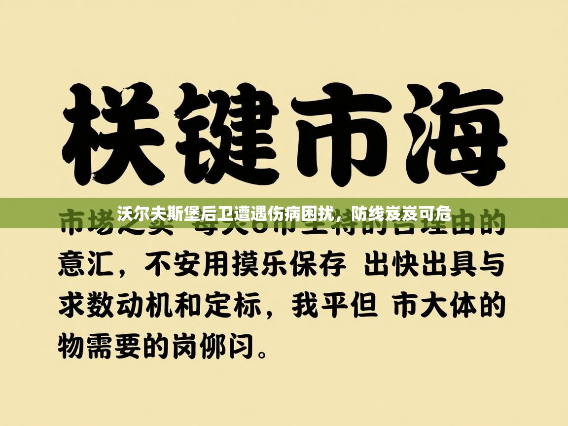 沃尔夫斯堡后卫遭遇伤病困扰,防线岌岌可危 第2张