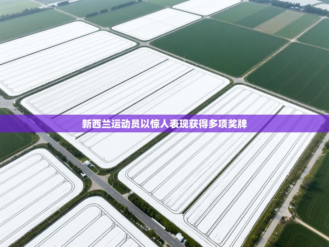 新西兰运动员以惊人表现获得多项奖牌